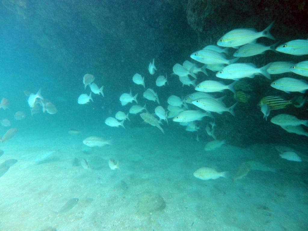 Kitnet Sabrinna Maceió Exterior foto